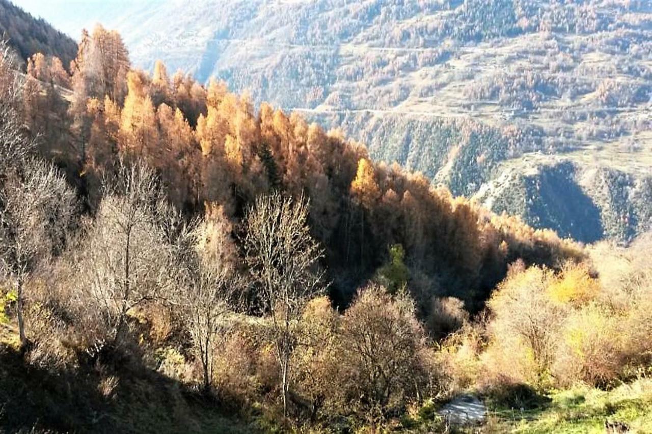 La Chaumiere D'Herens Vernamiège 외부 사진